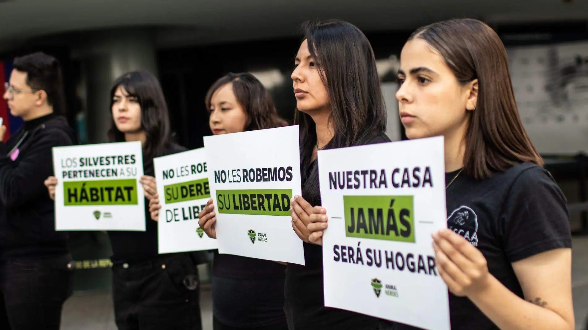 Las autoridades consideran que el 70% de los animales implicados en el tráfico ilegal fallecen debido al alto grado de estrés 